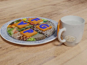 HEALTHY FOOD PLATE PROPORTION 3D Print Model