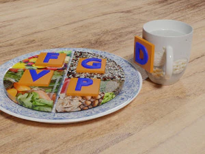 HEALTHY FOOD PLATE PROPORTION 3D Print Model