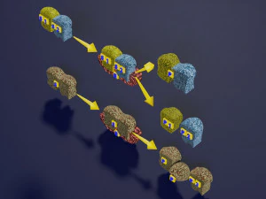 3D enzyme substrate reaction product 3D Print Model