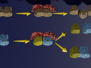 3D enzyme substrate reaction product Modèles 3D en vedette