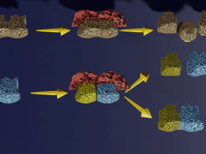 3D enzyme substrate reaction product 3D Print Model