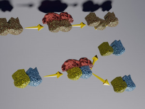 3D enzyme substrate reaction product Modèles 3D en vedette