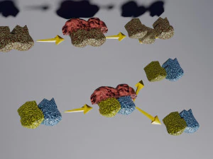 3D enzyme substrate reaction product 3D Print Model