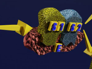 3D enzyme substrate reaction product 3D Print Model