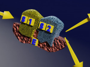 3D enzyme substrate reaction product Modèles 3D en vedette
