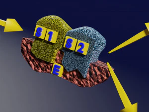 3D enzyme substrate reaction product 3D Print Model