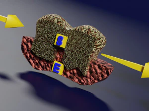 3D enzyme substrate reaction product 3D Print Model
