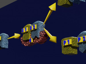 3D enzyme substrate reaction product Modèles 3D en vedette
