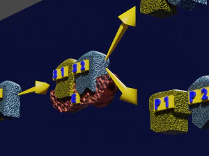 3D enzyme substrate reaction product 3D Print Model