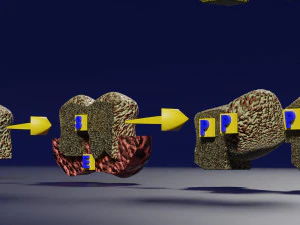 3D enzyme substrate reaction product 3D Print Model