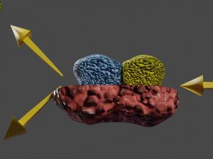 3D enzyme substrate reaction product 3D Print Model