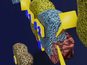3D enzyme substrate reaction product 3D Print Model