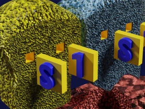 3D enzyme substrate reaction product 3D Print Model