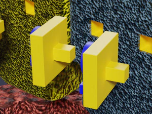 3D enzyme substrate reaction product 3D Print Model