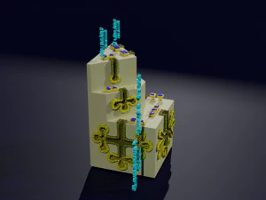 덕트 땀샘 유형 단순 복합 폐포 관형 3D 프린트 모델