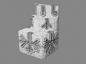 Ducts glands type simple compound alveolar tubular 3D Print Model