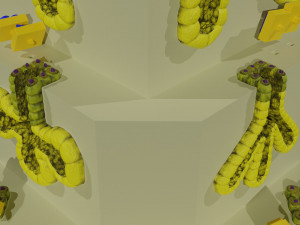Ducts glands type simple compound alveolar tubular 3D Print Model