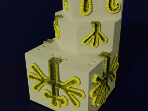 Ducts glands type simple compound alveolar tubular 3D Print Model