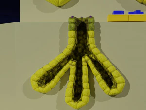 Ducts glands type simple compound alveolar tubular 3D Print Model