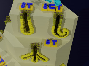 Ducts glands type simple compound alveolar tubular 3D Print Model