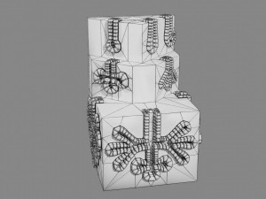Ducts glands type simple compound alveolar tubular 3D Print Model