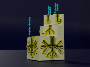 Ducts glands type simple compound alveolar tubular 3D Print Model