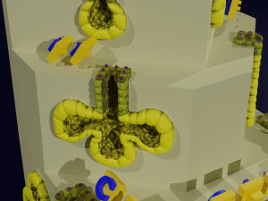 Ducts glands type simple compound alveolar tubular 3D Print Model