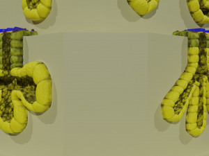Ducts glands type simple compound alveolar tubular 3D Print Model