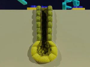 Ducts glands type simple compound alveolar tubular 3D Print Model
