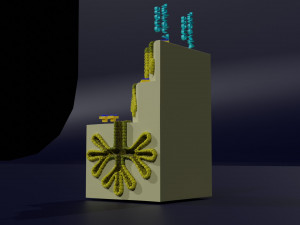 Ducts glands type simple compound alveolar tubular 3D Print Model