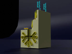 Ducts glands type simple compound alveolar tubular 3D Print Model