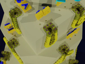 Ducts glands type simple compound alveolar tubular 3D Print Model