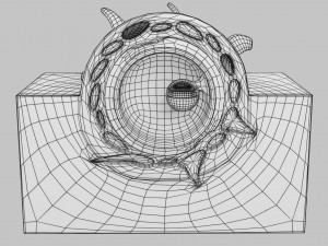 Human embryo 14 days labelled detailed Modello di stampa 3D