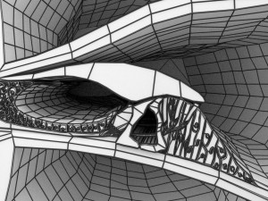 Cochlear duct organ of corti inner ear Model 3D