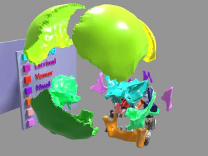Skull bones colored separable labelled 3D Model