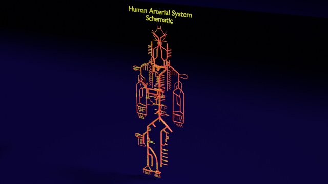 Human arterial system schematic 3D Modelo 3D .c4d .max .obj .3ds .fbx .stl .blend 