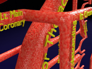 Human arterial system schematic 3D Modelo 3D