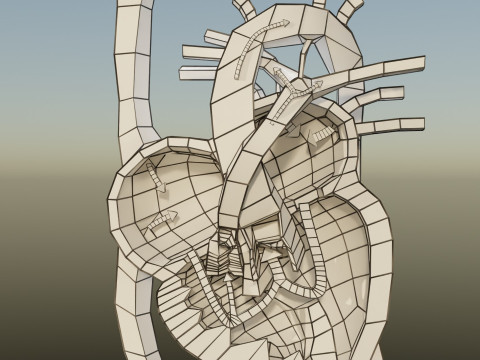TAF Tetralogy of Fallot vs Normal circulation 3D मॉडल