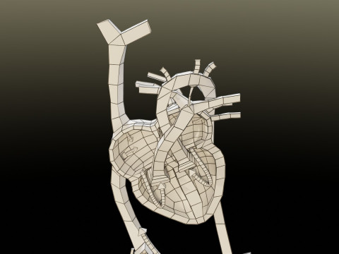 TAF Tetralogy of Fallot vs Normal circulation 3D मॉडल
