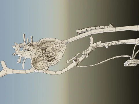 TAF Tetralogy of Fallot vs Normal circulation 3D Model
