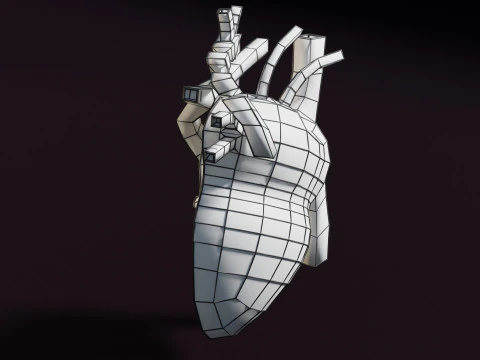 COA Coartaci&oacute;n de Aorta Modelo 3D