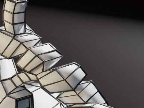 COA Coarctation of Aorta 3D Model