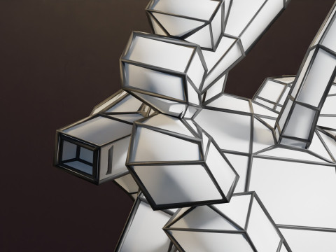 COA Coarctation of Aorta 3D Model