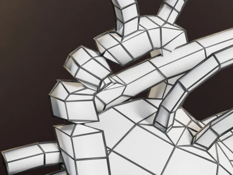 COA Coartaci&oacute;n de Aorta Modelo 3D