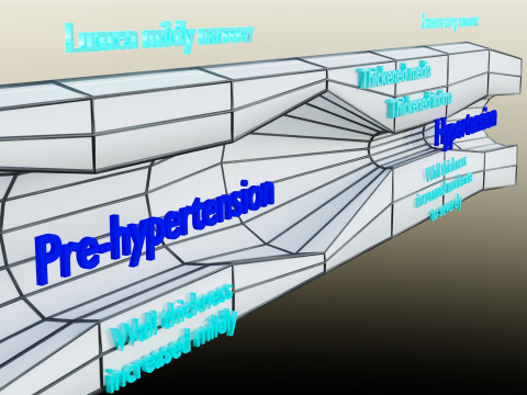 Hypertension blood vessel artery structural change 3D-Modell