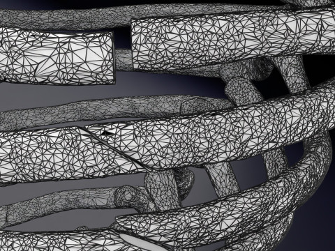Rib fracture and its types Model 3D