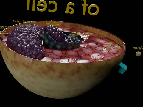 Virus infection cycle in host cell 3D Модель