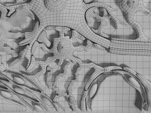Glial cells Brain 3Dモデル