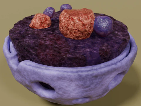 Nucleus structure schematic 3D Model