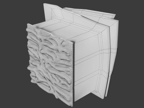 Heart Cardiac Wall Layers 3D Model